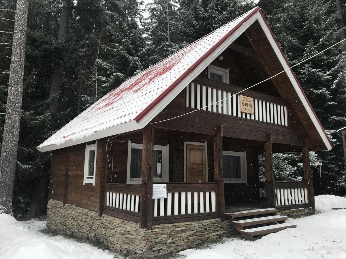 Chalet Sofia โบโรเวทส์ ภายนอก รูปภาพ