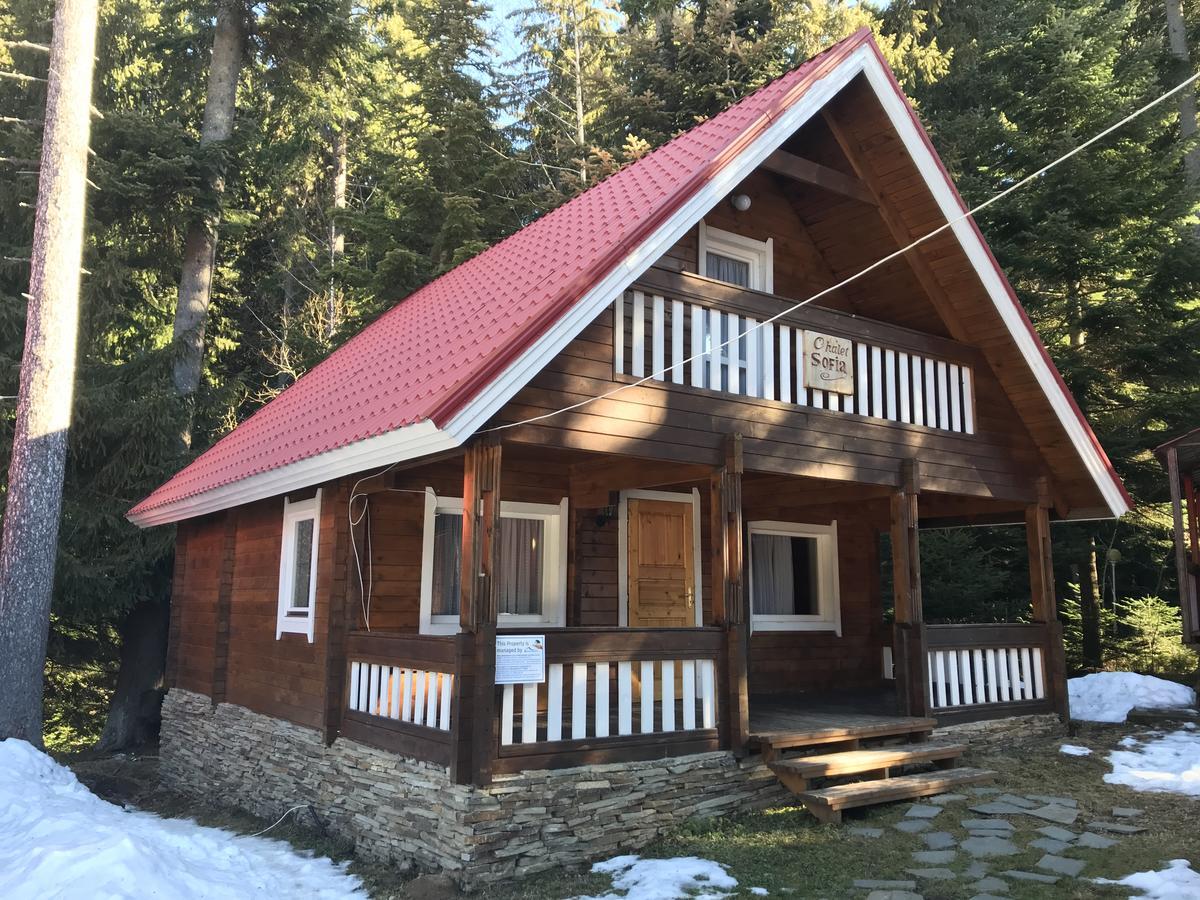 Chalet Sofia โบโรเวทส์ ภายนอก รูปภาพ